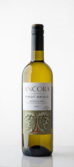 Adria Vini Ancora Pinot Grigio Provincia Di Pavia