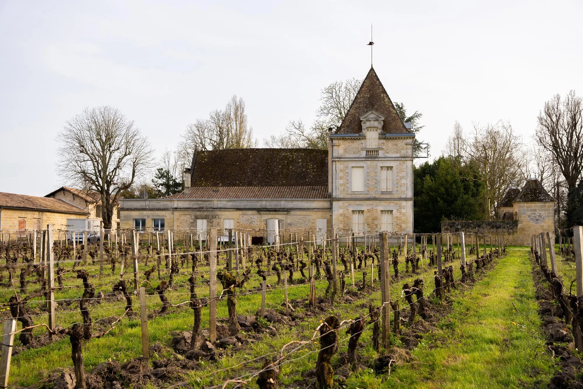 Chateau de Saint Pey image