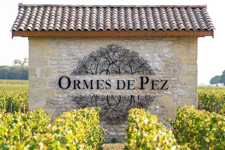 Chateau Ormes De Pez image