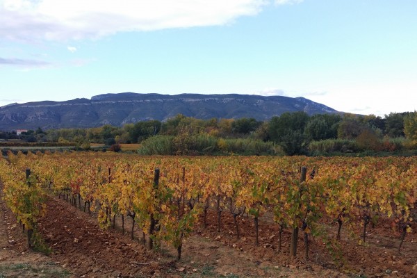 Domaine Bertrand-Berge image