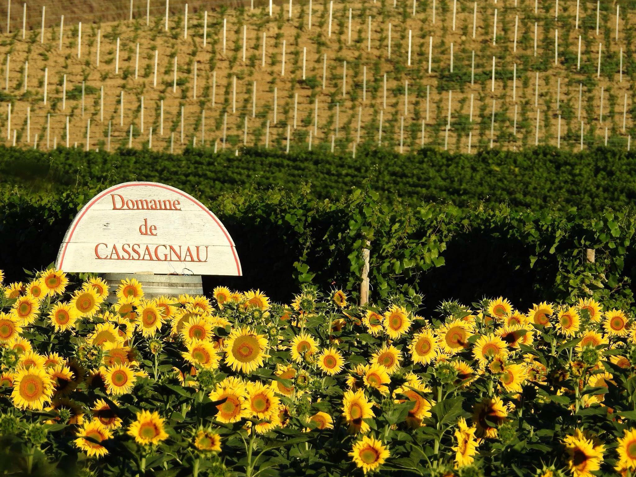 Domaine De Cassagnau image