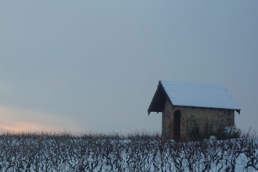 Domaine de la Chaponne image