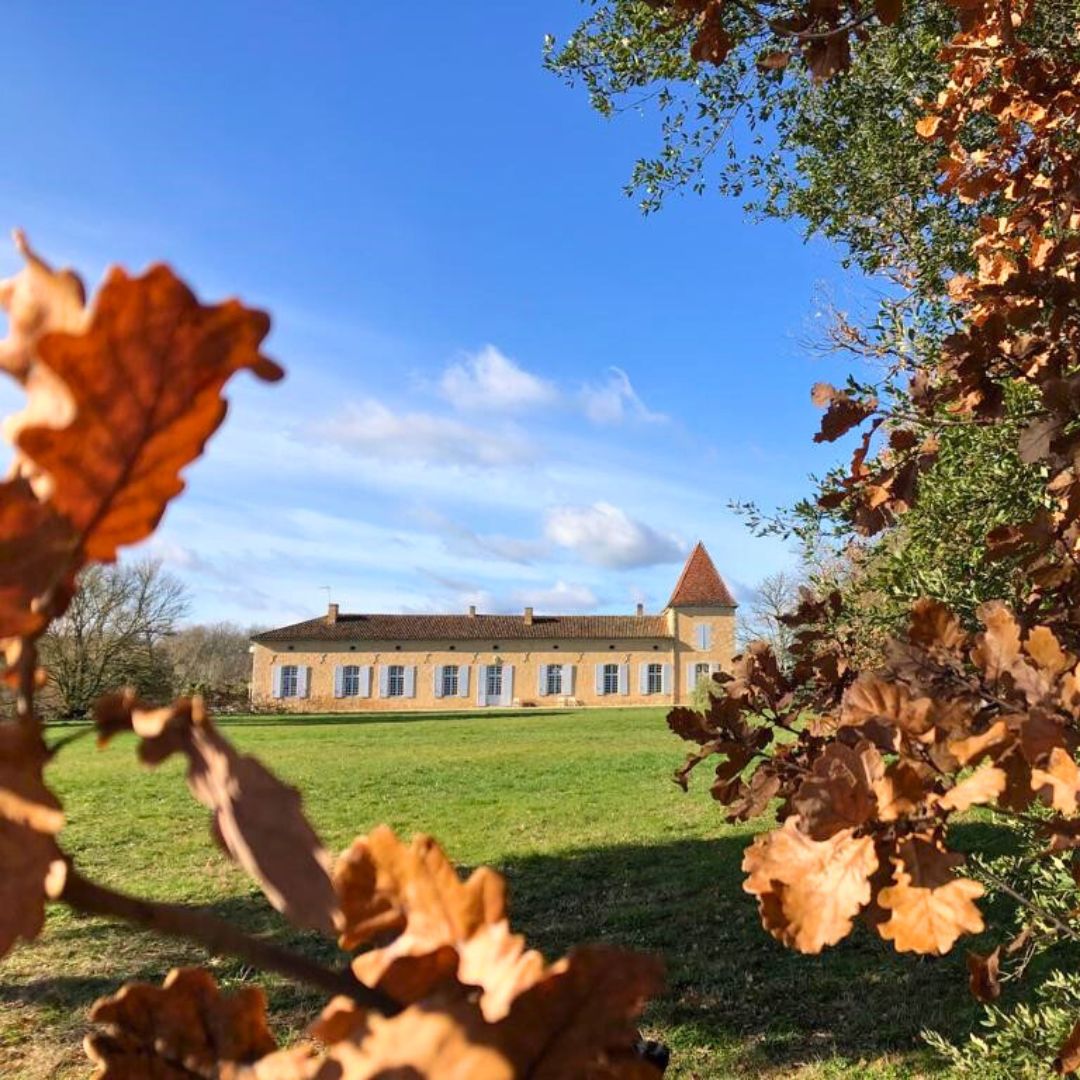 Domaine de Pellehaut image