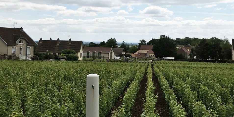 Domaine Philippe Livera image