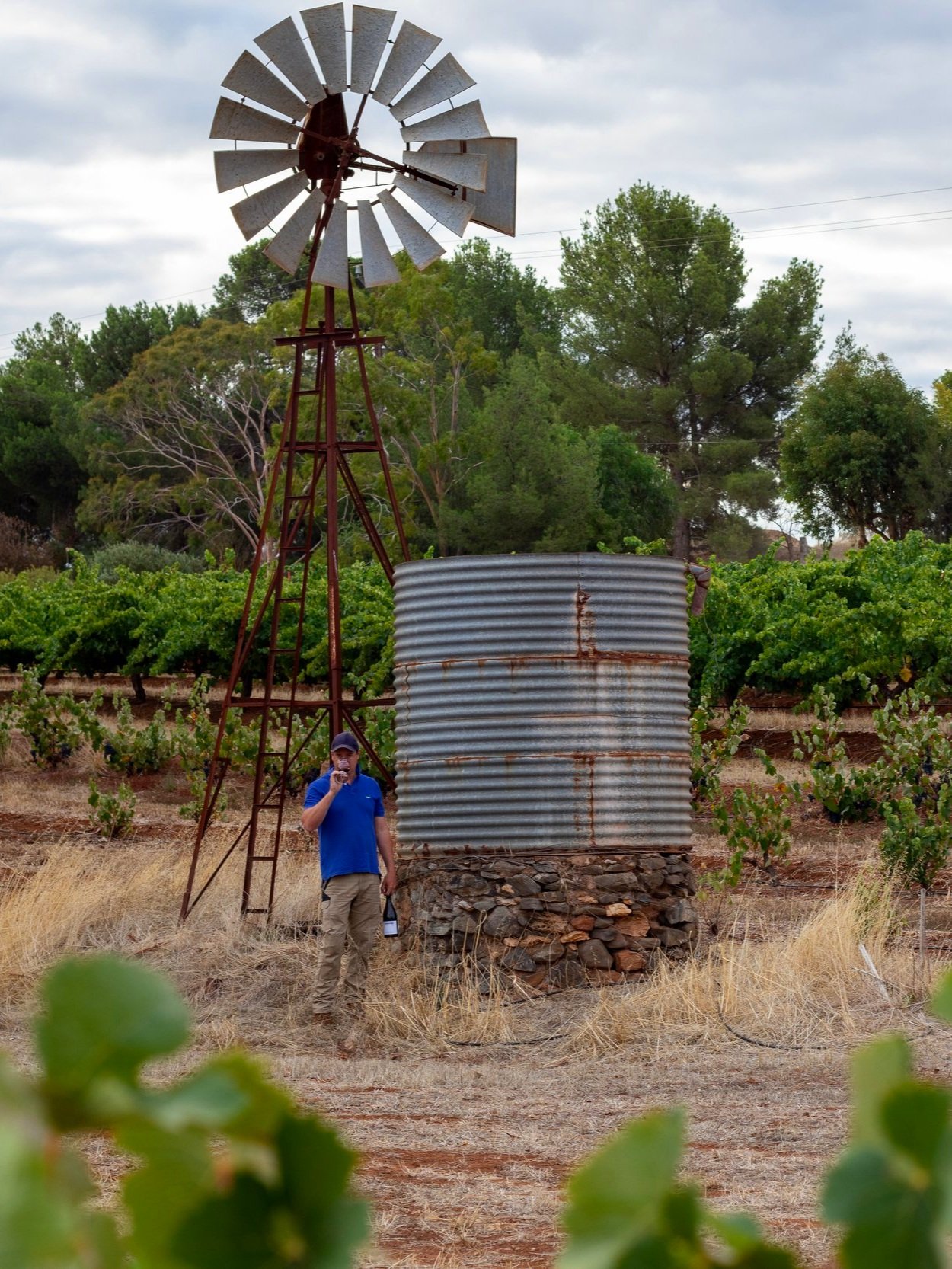 Smalltown Vineyards image